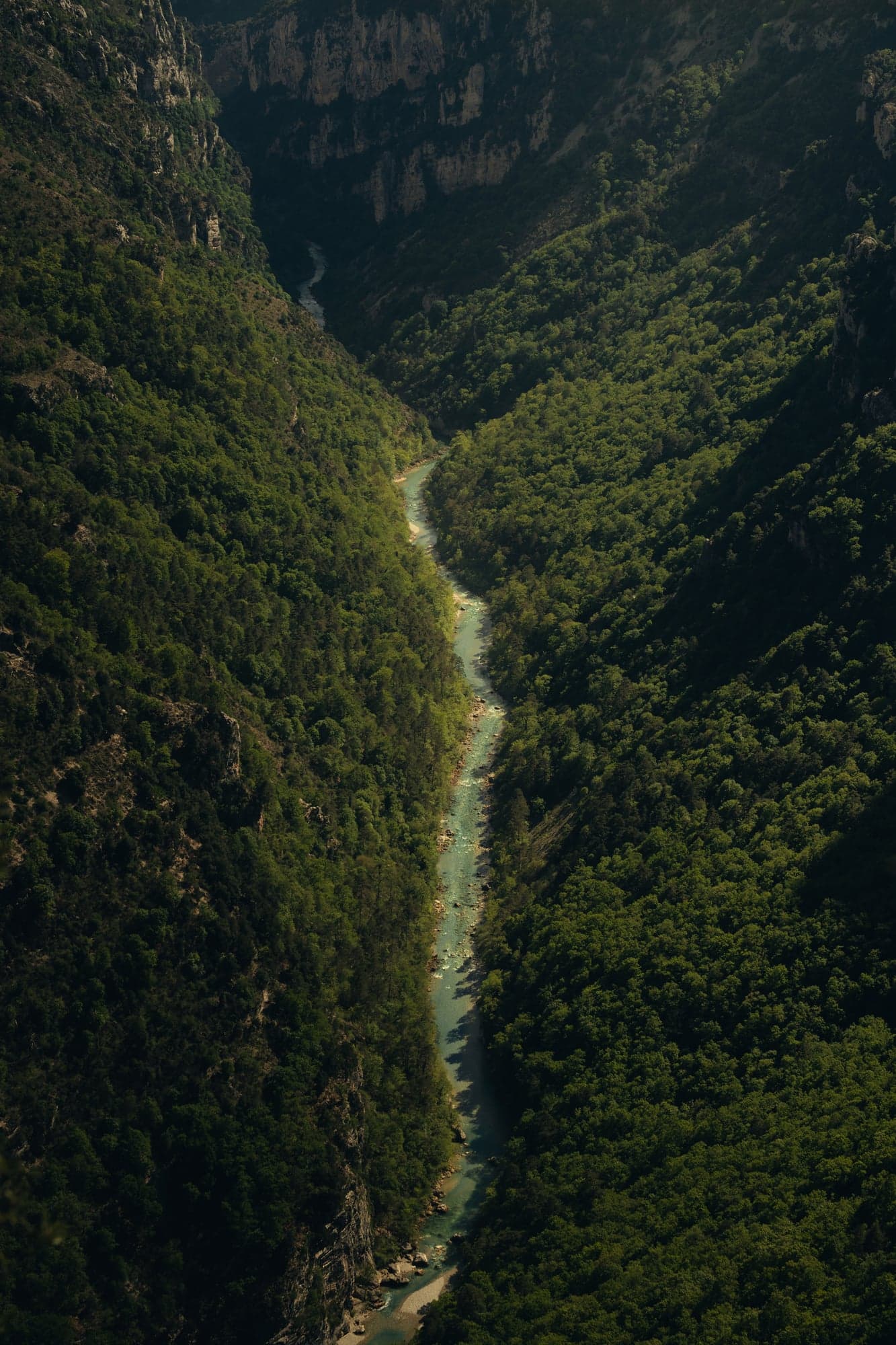 Rivière serpentant au fond d'une gorge boisée