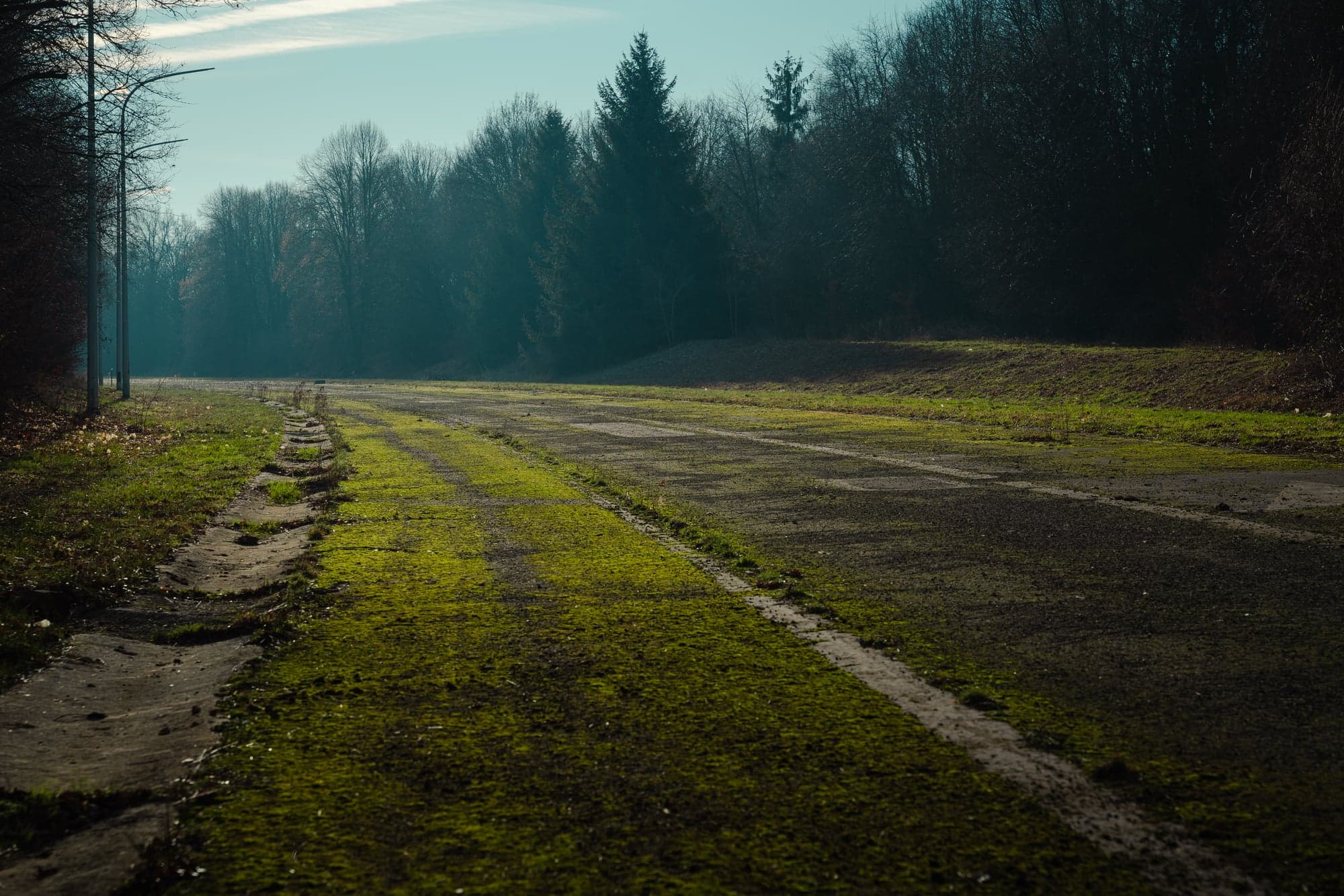 Route de campagne couverte de mousse, lumière hivernale